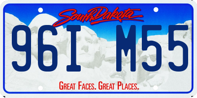 SD license plate 96IM55