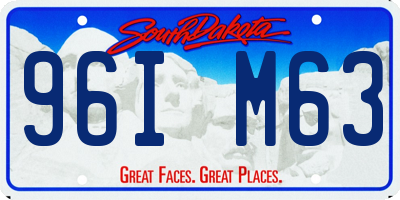 SD license plate 96IM63