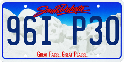 SD license plate 96IP30