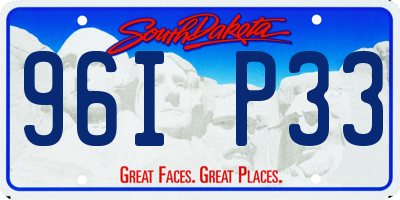 SD license plate 96IP33
