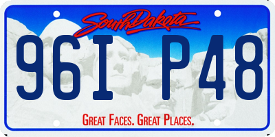 SD license plate 96IP48