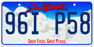 SD license plate 96IP58