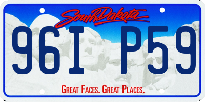 SD license plate 96IP59