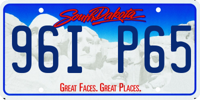 SD license plate 96IP65