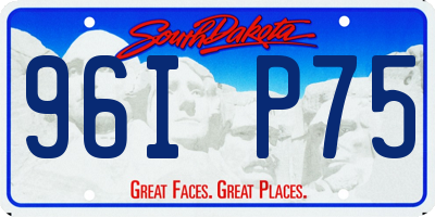 SD license plate 96IP75