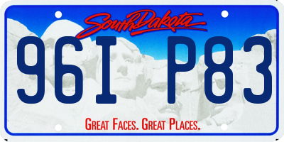 SD license plate 96IP83