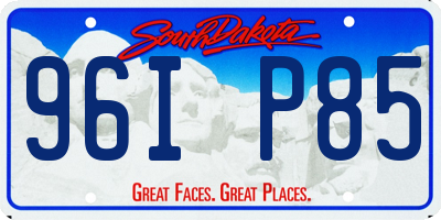 SD license plate 96IP85