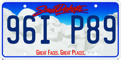 SD license plate 96IP89