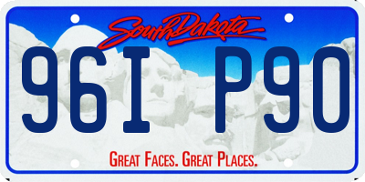 SD license plate 96IP90