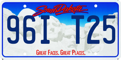 SD license plate 96IT25