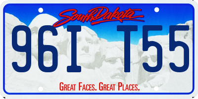 SD license plate 96IT55