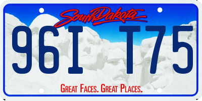 SD license plate 96IT75