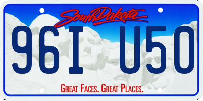 SD license plate 96IU50