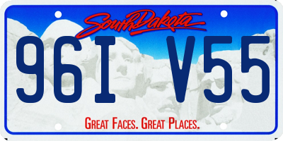 SD license plate 96IV55