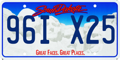 SD license plate 96IX25