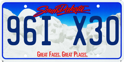 SD license plate 96IX30
