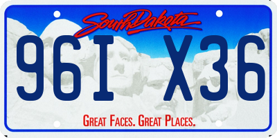 SD license plate 96IX36