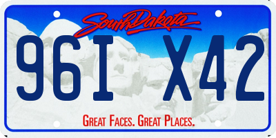 SD license plate 96IX42