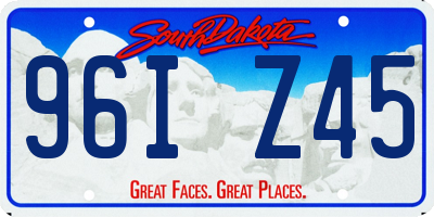 SD license plate 96IZ45