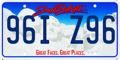 SD license plate 96IZ96