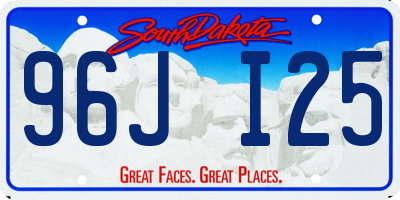 SD license plate 96JI25
