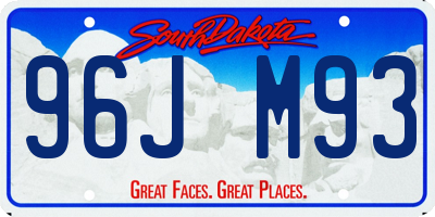 SD license plate 96JM93