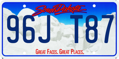 SD license plate 96JT87