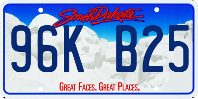 SD license plate 96KB25