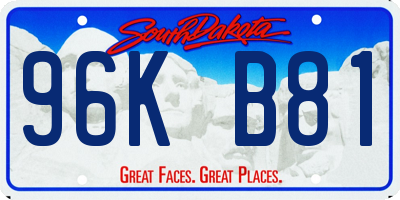 SD license plate 96KB81