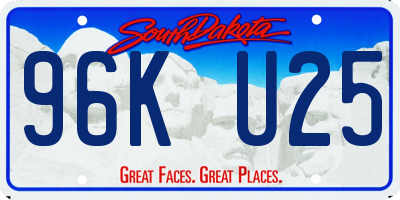 SD license plate 96KU25
