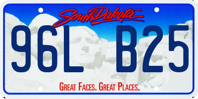 SD license plate 96LB25