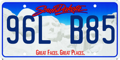 SD license plate 96LB85