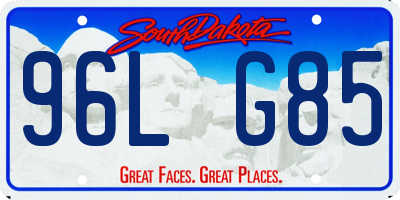 SD license plate 96LG85