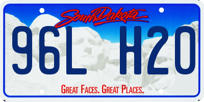 SD license plate 96LH20