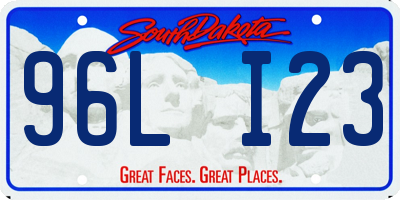 SD license plate 96LI23