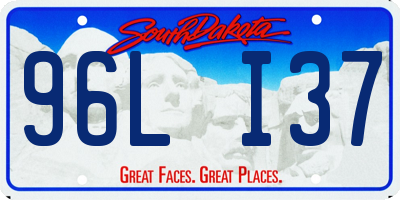 SD license plate 96LI37