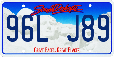 SD license plate 96LJ89