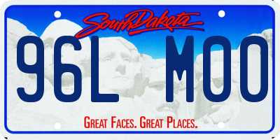 SD license plate 96LM00