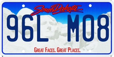 SD license plate 96LM08