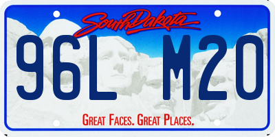 SD license plate 96LM20