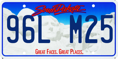 SD license plate 96LM25