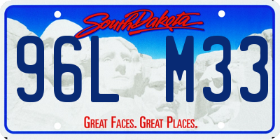 SD license plate 96LM33