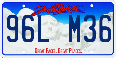 SD license plate 96LM36
