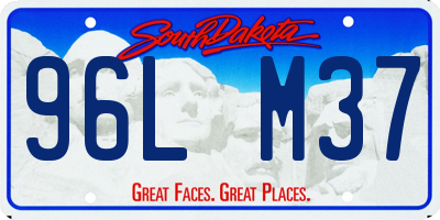 SD license plate 96LM37
