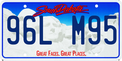SD license plate 96LM95