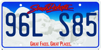 SD license plate 96LS85