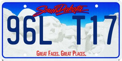 SD license plate 96LT17
