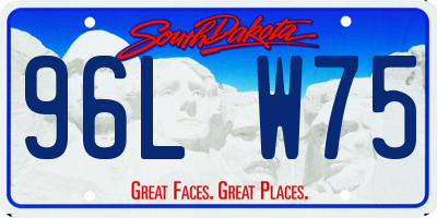 SD license plate 96LW75
