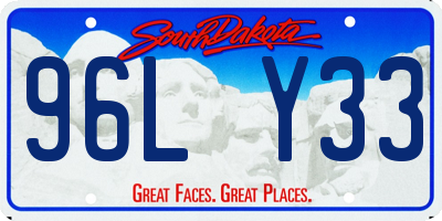 SD license plate 96LY33