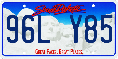 SD license plate 96LY85
